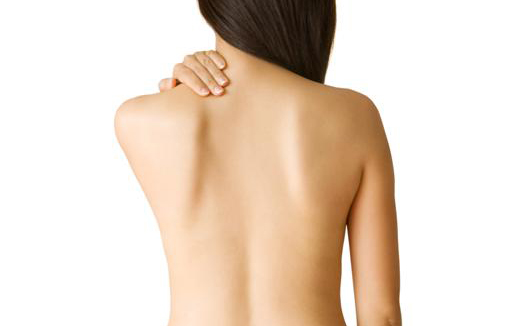 spineimage